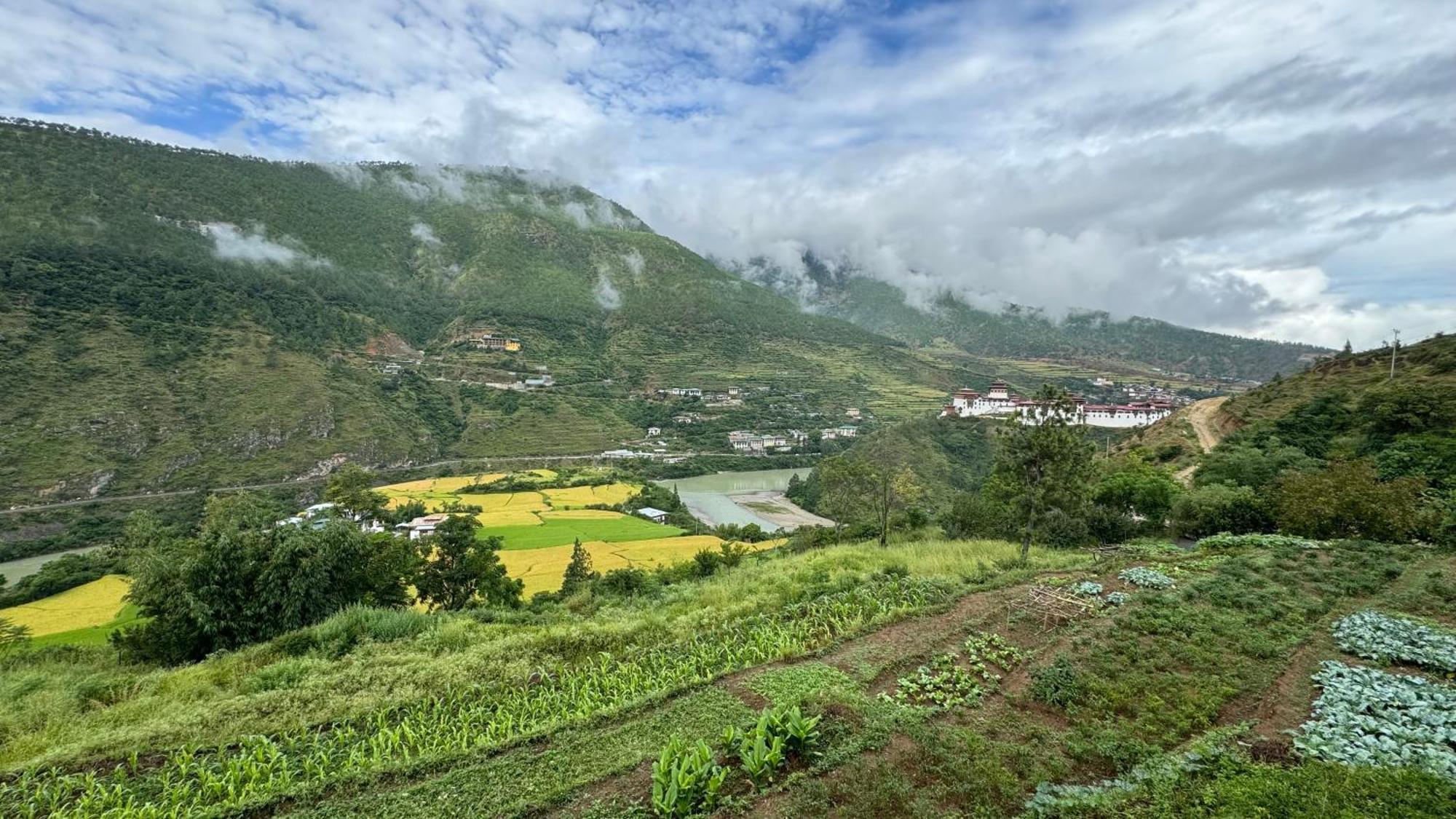 Wangdue Ecolodge Wangdue Phodrang Exteriér fotografie