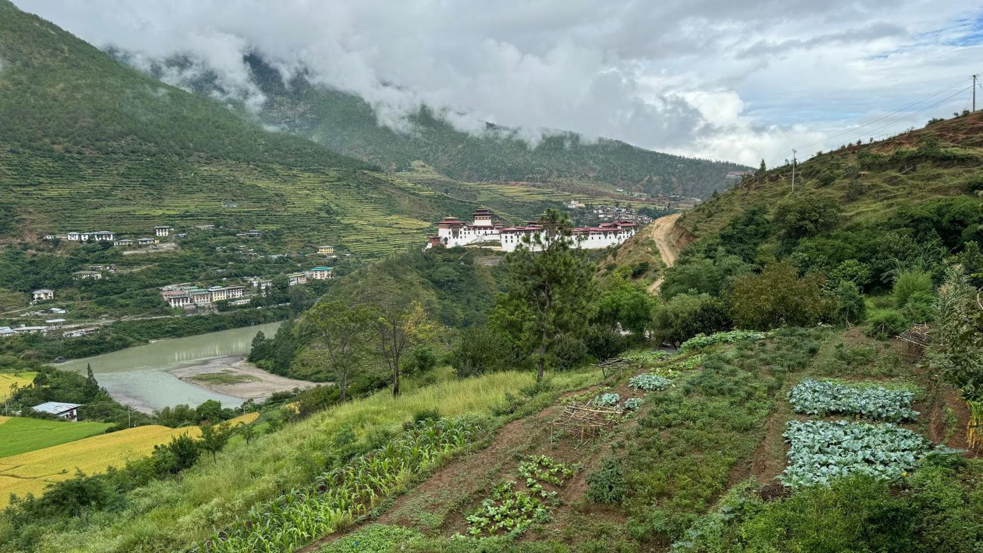 Wangdue Ecolodge Wangdue Phodrang Exteriér fotografie